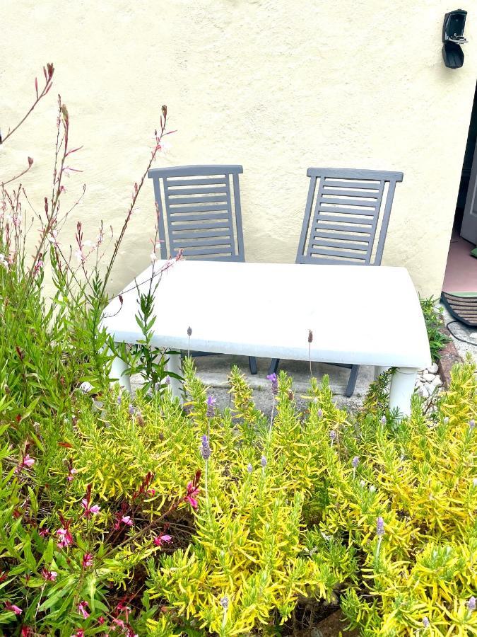 Kelp Cottage Gansbaai Zewnętrze zdjęcie